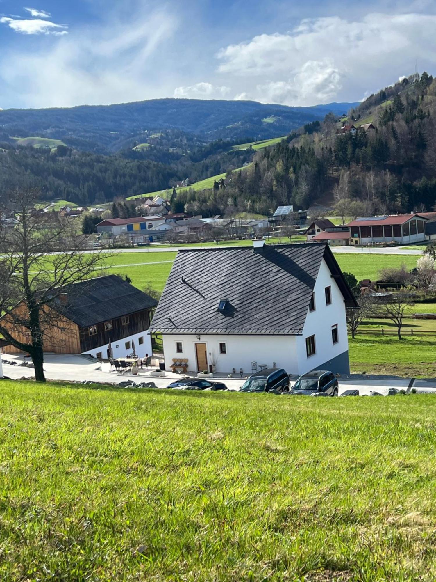 Sonnenschein Appartement- Und Ferienhaus Mit Terrasse Und Garten Eibiswald エクステリア 写真